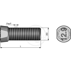 Bolt with conical head and 2 flat sides 12.9