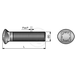 BOUL. Tête Ovale CC 10*60 CL.10.9 + Ecrou Embase Crantée Large