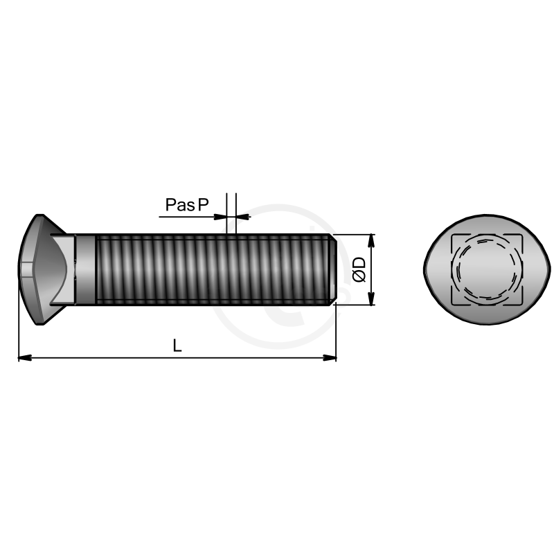 BOUL. Tête Ovale CC 10*60 CL.10.9   Ecrou Embase Crantée Large